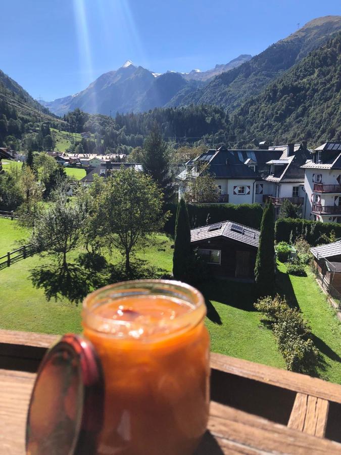 Pension Monika, Your B&B Including Summercard Kaprun Ngoại thất bức ảnh